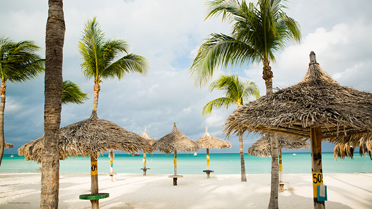Aruba Marriott Resort_Palapas Aruba Marriott Resort Palapas Courtesy