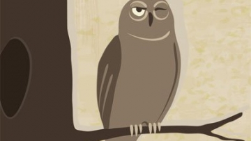 Night-Owls-400x300_0.jpg